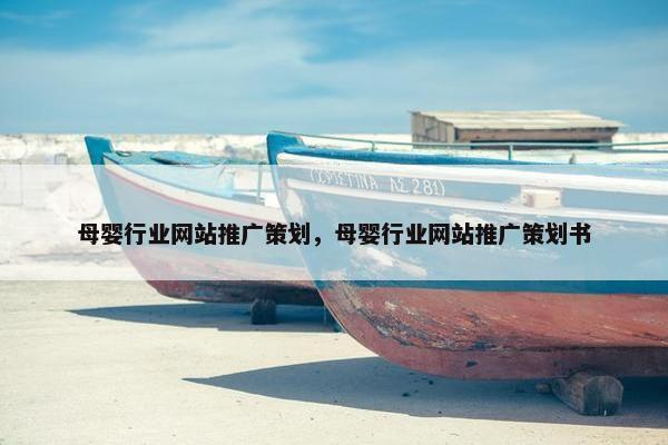 母婴行业网站推广策划，母婴行业网站推广策划书