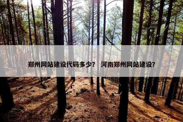 郑州网站建设代码多少？ 河南郑州网站建设？