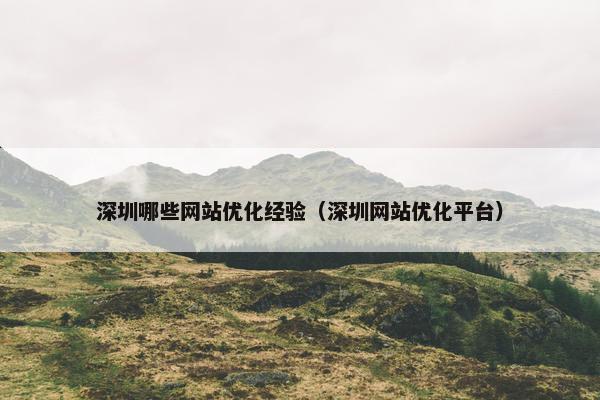 深圳哪些网站优化经验（深圳网站优化平台）