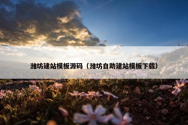 潍坊建站模板源码（潍坊自助建站模板下载）