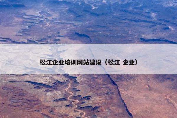 松江企业培训网站建设（松江 企业）