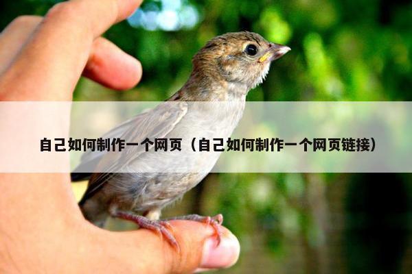 自己如何制作一个网页（自己如何制作一个网页链接）