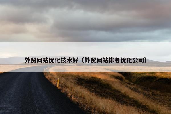 外贸网站优化技术好（外贸网站排名优化公司）