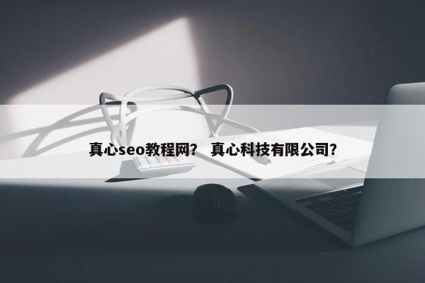 真心seo教程网？ 真心科技有限公司？