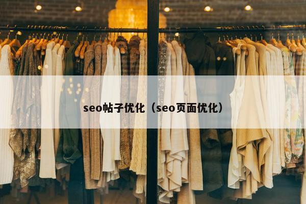 seo帖子优化（seo页面优化）