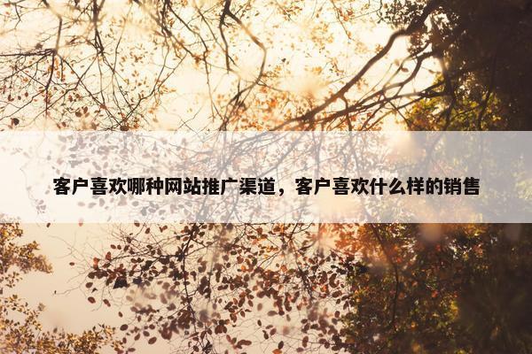 客户喜欢哪种网站推广渠道，客户喜欢什么样的销售