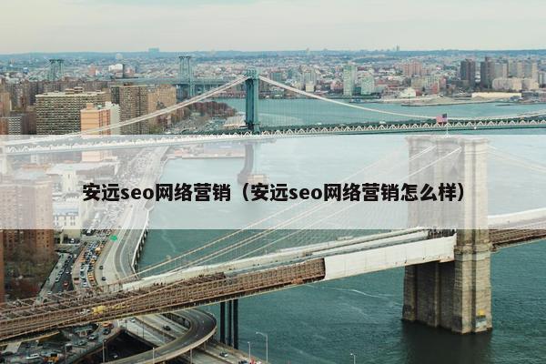 安远seo网络营销（安远seo网络营销怎么样）