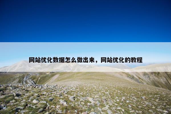 网站优化数据怎么做出来，网站优化的教程