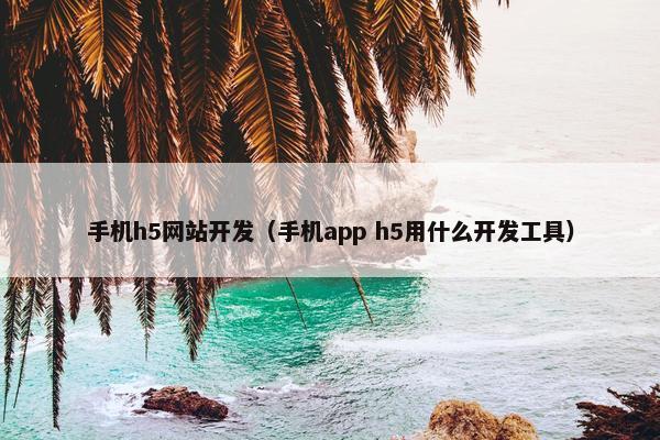 手机h5网站开发（手机app h5用什么开发工具）