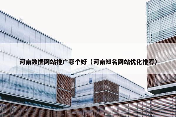 河南数据网站推广哪个好（河南知名网站优化推荐）