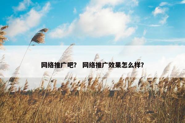 网络推广吧？ 网络推广效果怎么样？