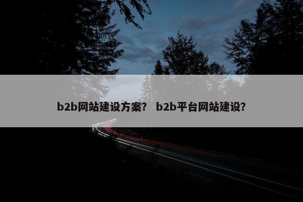 b2b网站建设方案？ b2b平台网站建设？