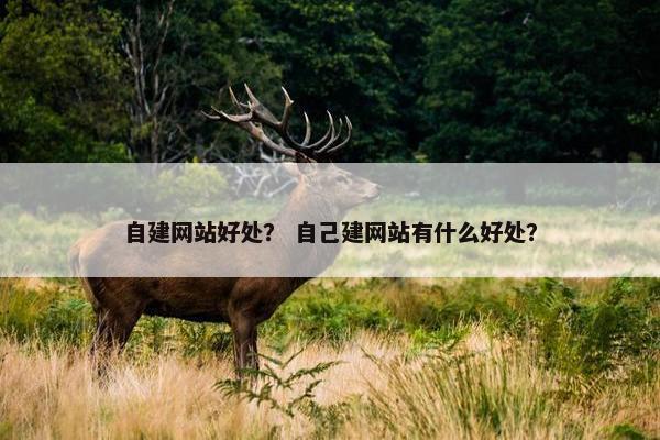 自建网站好处？ 自己建网站有什么好处？