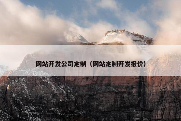 网站开发公司定制（网站定制开发报价）