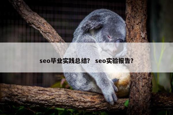 seo毕业实践总结？ seo实验报告？