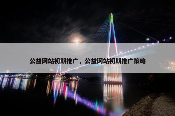 公益网站初期推广，公益网站初期推广策略