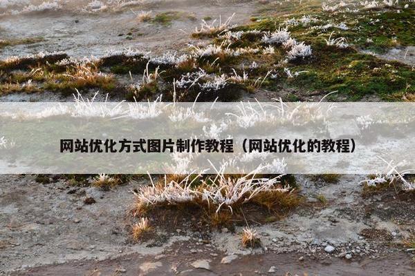 网站优化方式图片制作教程（网站优化的教程）