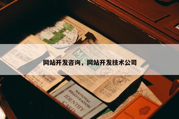 网站开发咨询，网站开发技术公司