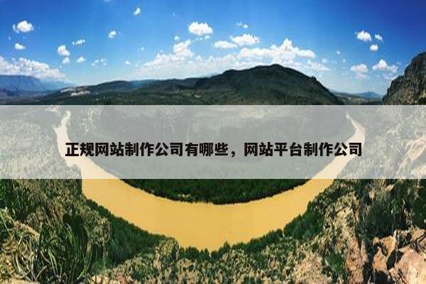 正规网站制作公司有哪些，网站平台制作公司