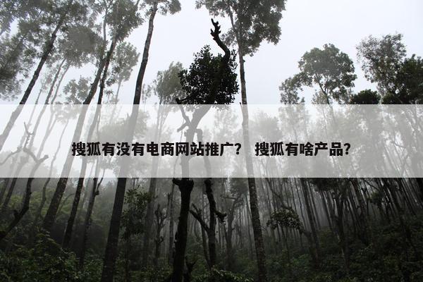 搜狐有没有电商网站推广？ 搜狐有啥产品？