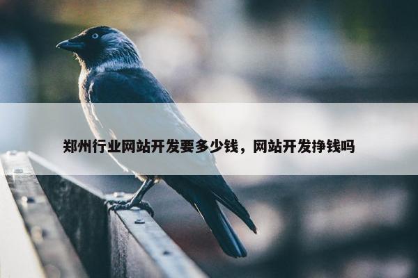 郑州行业网站开发要多少钱，网站开发挣钱吗