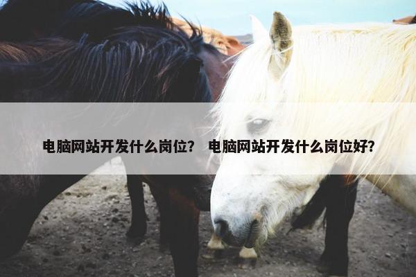 电脑网站开发什么岗位？ 电脑网站开发什么岗位好？