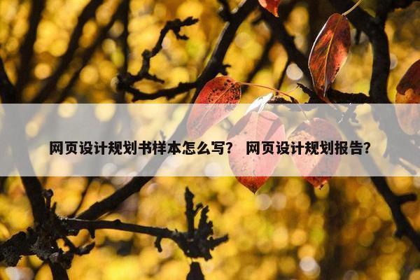 网页设计规划书样本怎么写？ 网页设计规划报告？