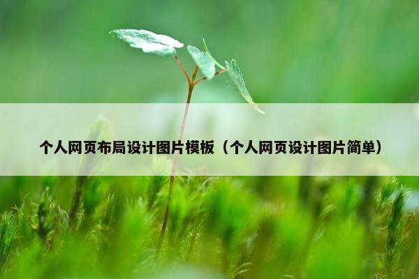 个人网页布局设计图片模板（个人网页设计图片简单）