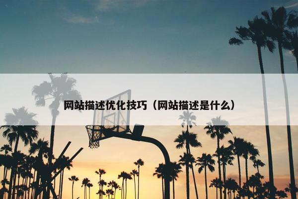 网站描述优化技巧（网站描述是什么）