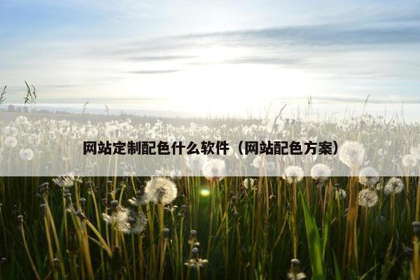 网站定制配色什么软件（网站配色方案）
