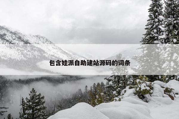 包含娃派自助建站源码的词条