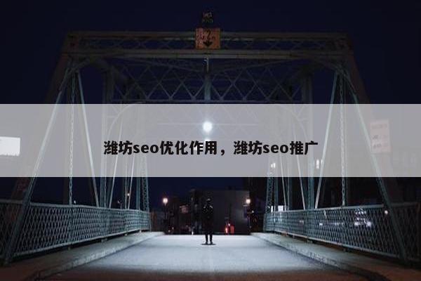 潍坊seo优化作用，潍坊seo推广