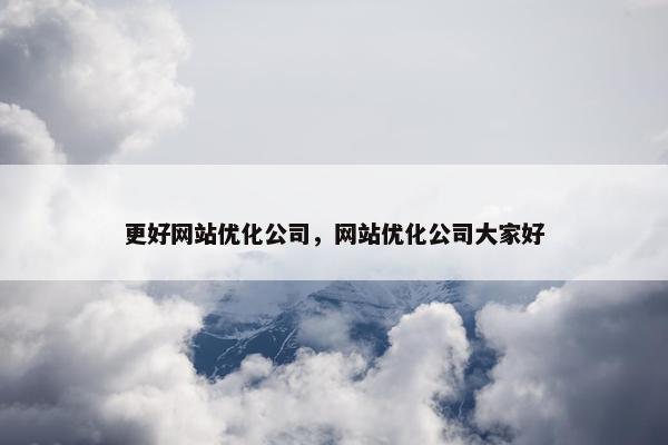 更好网站优化公司，网站优化公司大家好