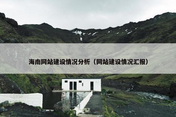 海南网站建设情况分析（网站建设情况汇报）