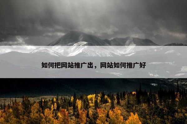 如何把网站推广出，网站如何推广好