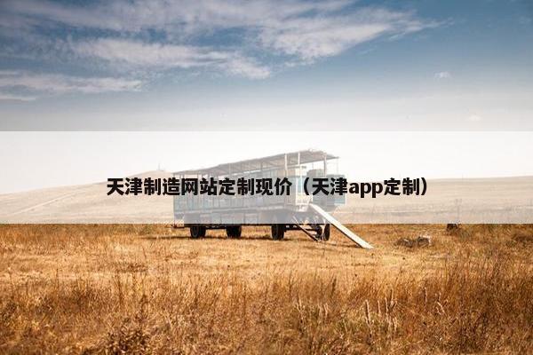 天津制造网站定制现价（天津app定制）