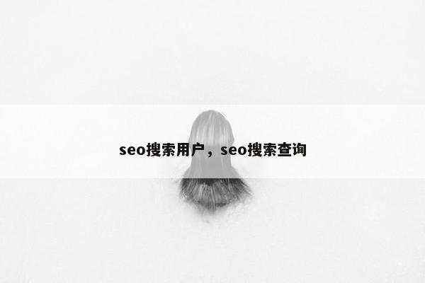 seo搜索用户，seo搜索查询