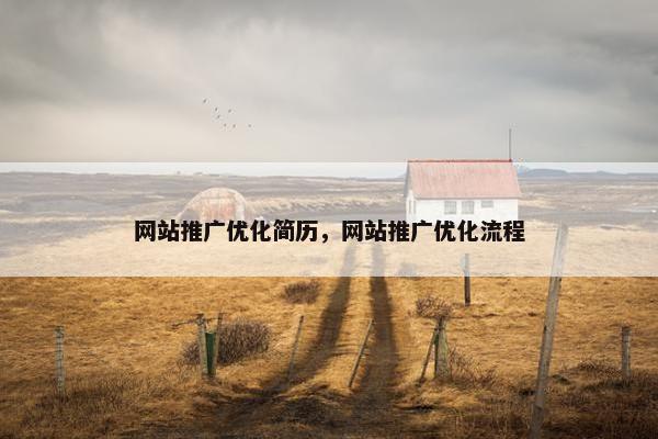 网站推广优化简历，网站推广优化流程