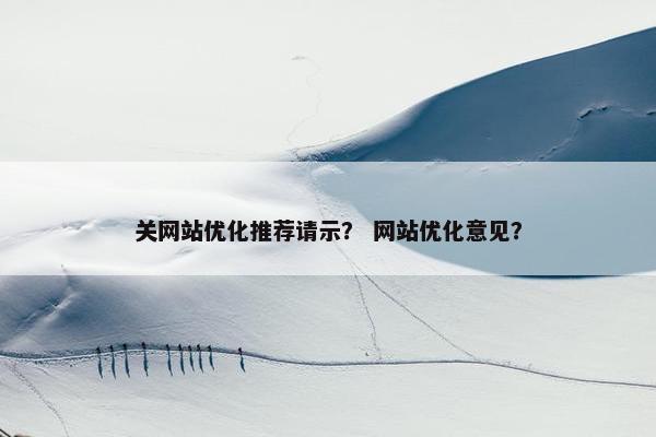 关网站优化推荐请示？ 网站优化意见？