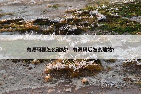 有源码要怎么建站？ 有源码后怎么建站？