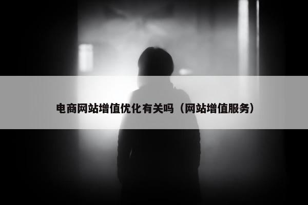 电商网站增值优化有关吗（网站增值服务）
