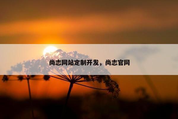 尚志网站定制开发，尚志官网
