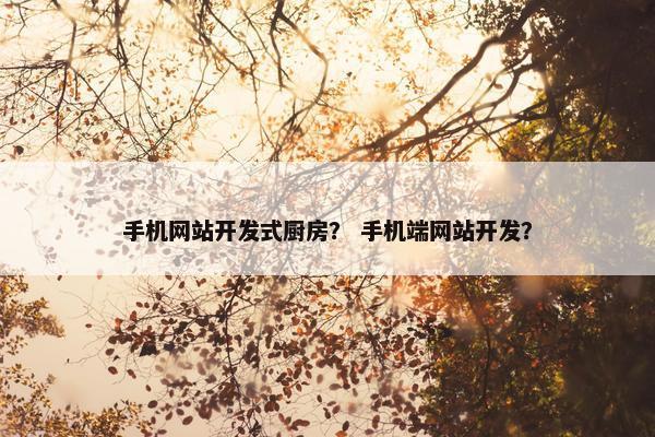 手机网站开发式厨房？ 手机端网站开发？