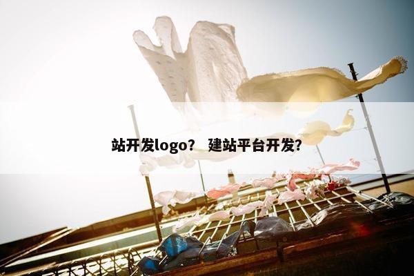站开发logo？ 建站平台开发？