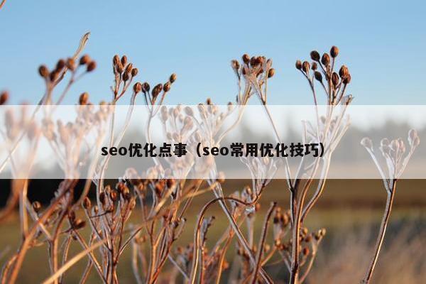 seo优化点事（seo常用优化技巧）