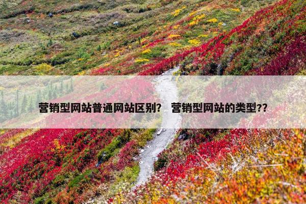 营销型网站普通网站区别？ 营销型网站的类型?？