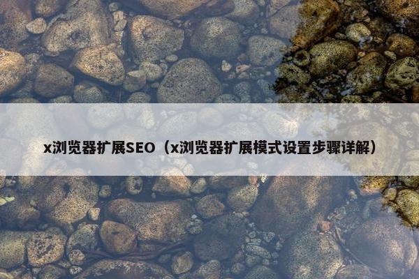x浏览器扩展SEO（x浏览器扩展模式设置步骤详解）
