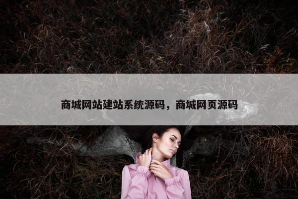 商城网站建站系统源码，商城网页源码
