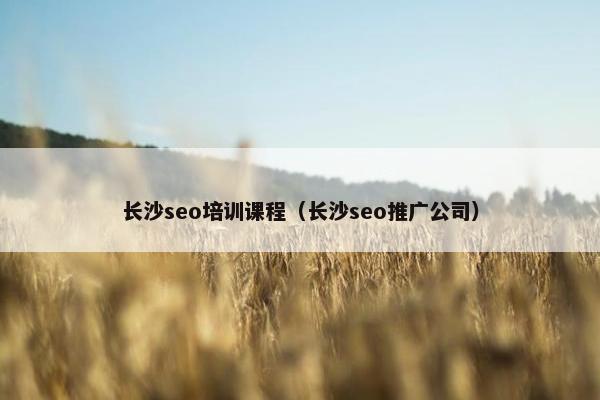 长沙seo培训课程（长沙seo推广公司）