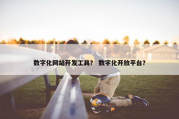 数字化网站开发工具？ 数字化开放平台？